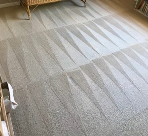 Carpet Cleaning Wanneroo, Hocking, Pearsall and Wangara